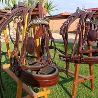 Finimento per cavalli