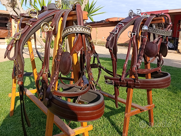 Finimento per cavalli