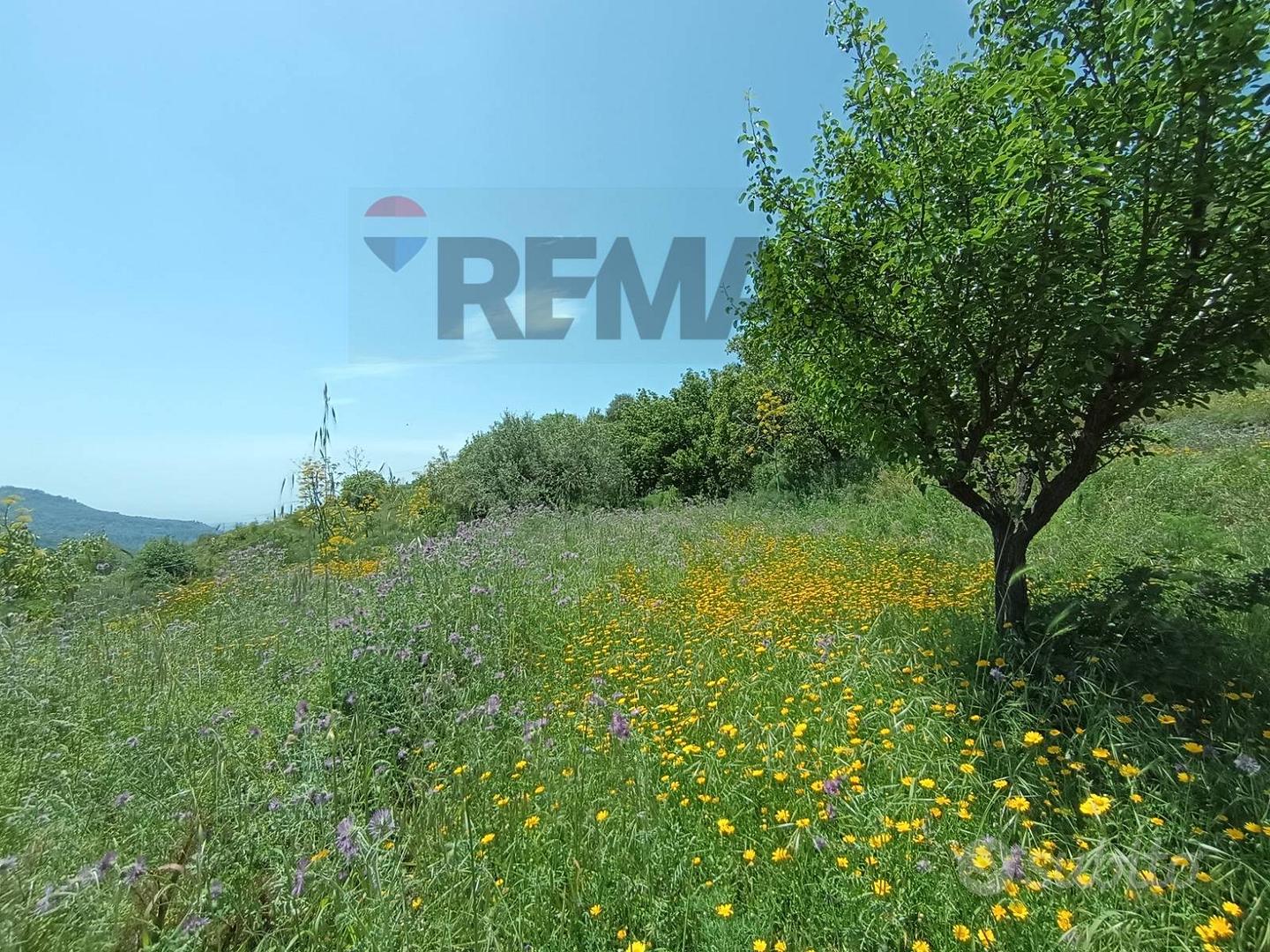 Rustico - Graniti - View 5