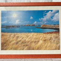 Quadri d’arredamento