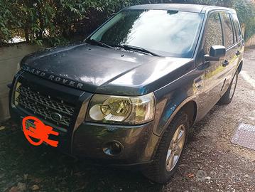 Freelander 