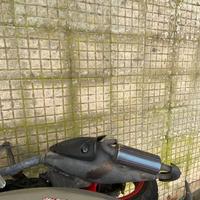 Marmitta piaggio nrg 50