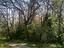 Immagine 28