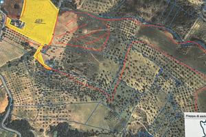 Terreno agricolo di 13,5 ettari con abitazione