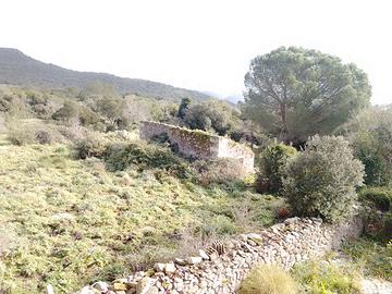 Terreno adatto biodiversità sul Monte Minerva