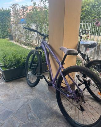wheelie bike