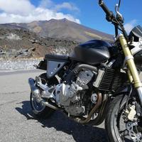 Honda Hornet 600 Cafè racer