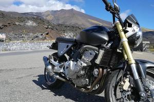 Honda Hornet 600 Cafè racer