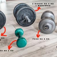 Pesi da palestra: 2 da 10kg + 2 da 8kg + 1 da 2kg