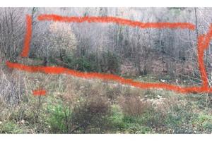 Terreno per castagne