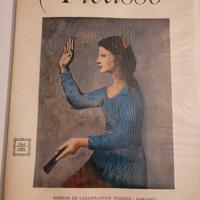 libro picasso