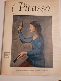 libro picasso