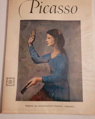 libro picasso