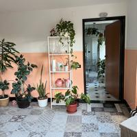 Piccolo loft in città nel verde