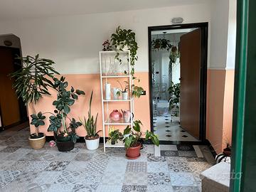 Piccolo loft in città nel verde