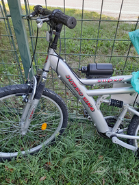 Mountain bike uomo