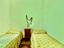Immagine 29