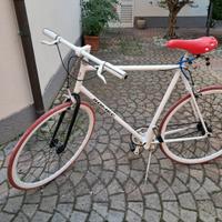 Bici uomo