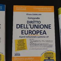 Compendio Diritto Dell'Unione Europea. 2016