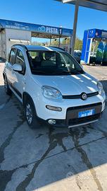 panda 4.4