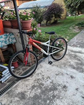 bicicletta Mountain bike 