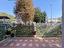 Immagine 12