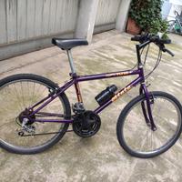 Bicicletta Mountain Bike