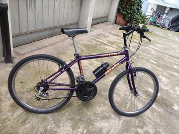 Bicicletta Mountain Bike