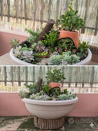 Giardino in miniatura 50 L composizione succulente