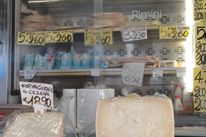 Autonegozio MINONZIO Falco 9918