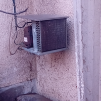 Frigo latte Packo 1200