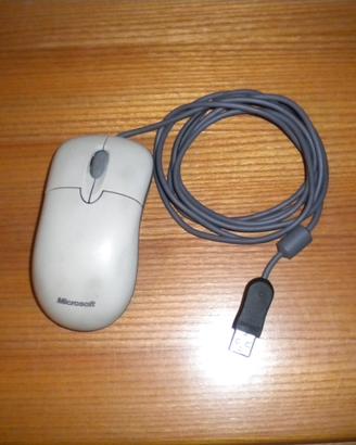 mouse
