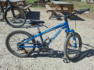 Specialized Hotrock 20"