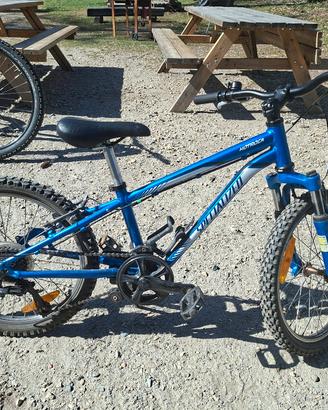 Specialized Hotrock 20"