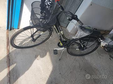 Bicicletta da Signora