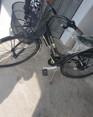 Bicicletta da Signora