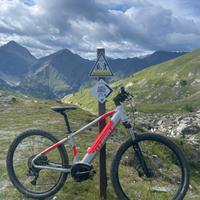 Mountain bike elettrica Atala Whistle 540W