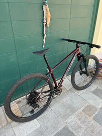 Mountain bike specialized