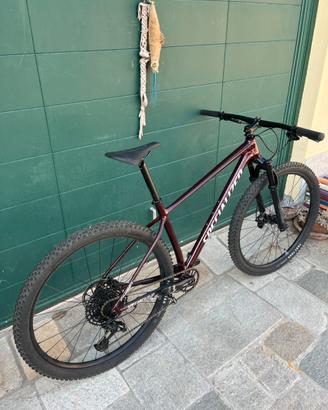 Mountain bike specialized
