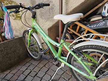 Bici Junior "Flipper" – Verde Vivace e Pronta all'