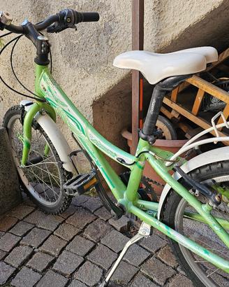 Bici Junior "Flipper" – Verde Vivace e Pronta all'