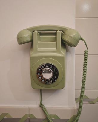 Telefono da parete vintage verde salvia