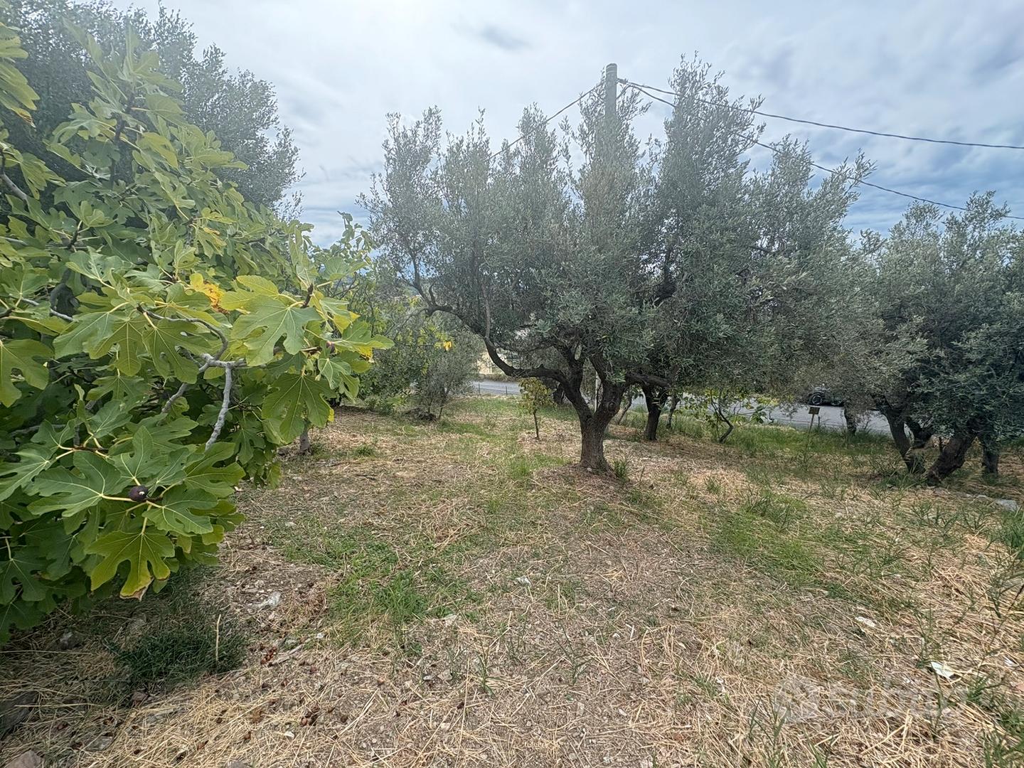 Appartamento + Palmento + Uliveti + Terreno - Vista 6
