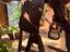 Immagine 3
