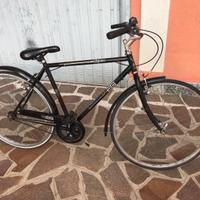 Bici passeggio