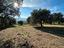 Immagine 14