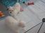 Immagine 1