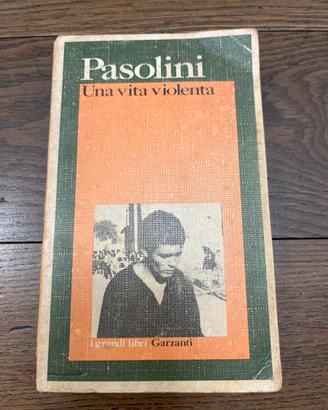 Libro Pasolini