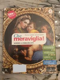 Che meraviglia! A – Scoprire la storia dell’arte