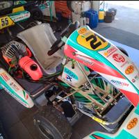 Go kart 60 cc 2023